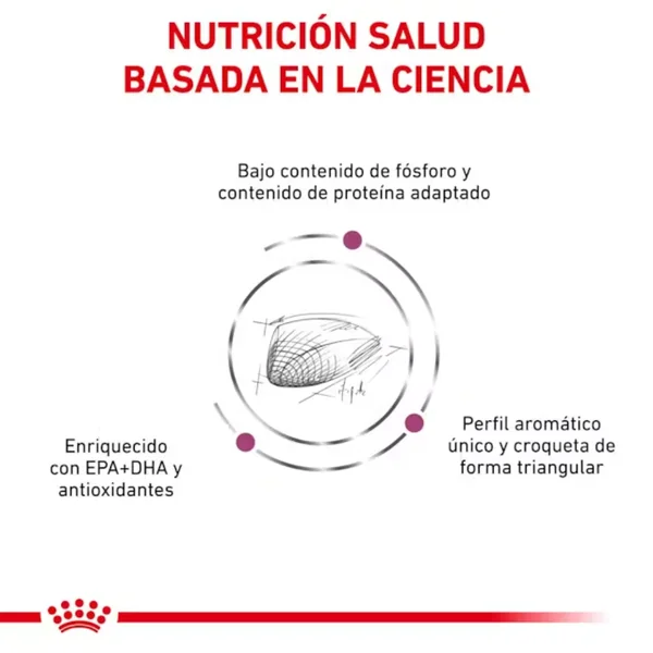 Royal Canin Veterinary Renal Special Pienso para Gatos