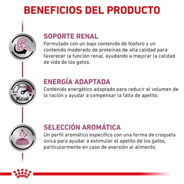 Royal Canin Veterinary Renal Special Pienso para Gatos
