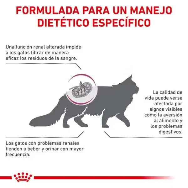 Royal Canin Veterinary Renal Special Pienso para Gatos