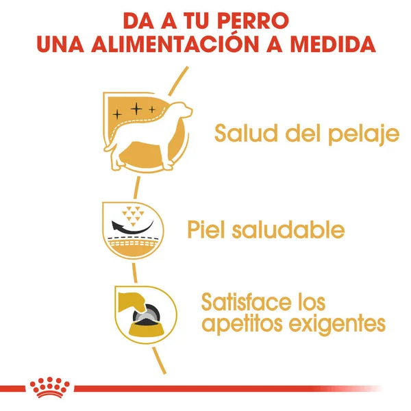 Royal Canin West Highland White Terrier Adulto Pienso para Perros de Raza