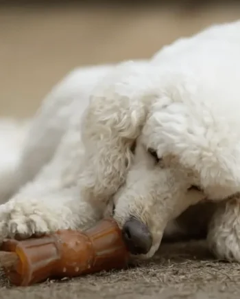 Rub Loop Treat Juguete perros