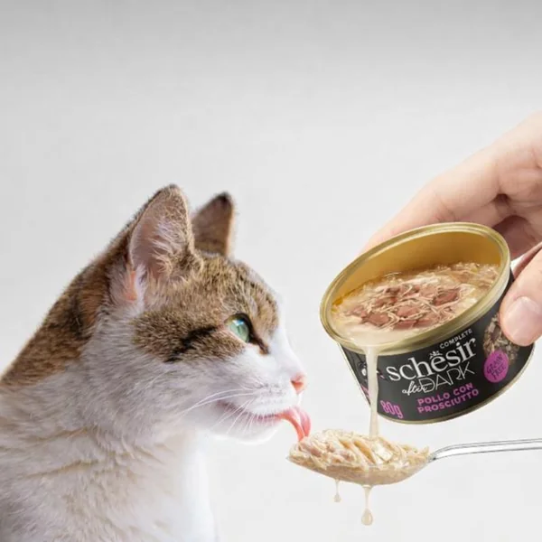 Schesir After Dark Pollo con Jamón en caldo para Gatos