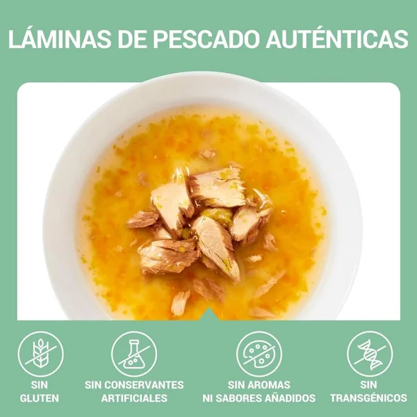 Schesir Sopa de Atún salvaje y calabaza para Gatos – Sopa Natural para Hidratación