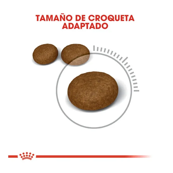 Selecciona tu Royal Canin Hair&Skin Pienso Para Gatos favorito hoy y ahorra un 20% al instante!