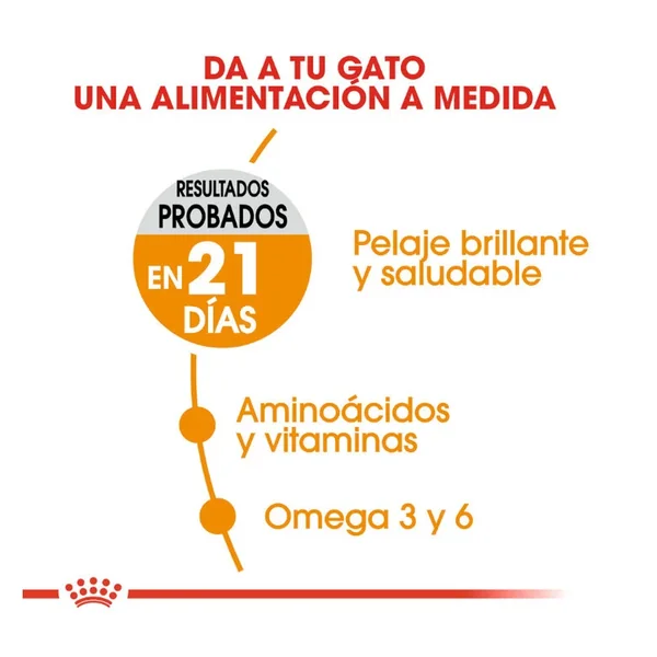 Selecciona tu Royal Canin Hair&Skin Pienso Para Gatos favorito hoy y ahorra un 20% al instante!