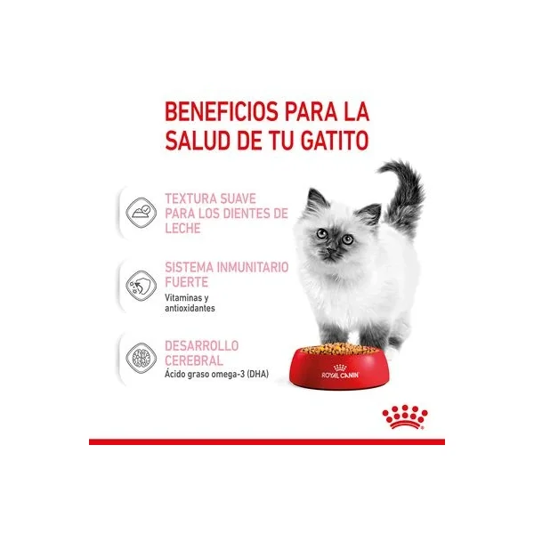 Selecciona tu Royal Canin Kitten Instinctive En Gelatina favorito hoy y ahorra un 20% al instante en le Valencia España!