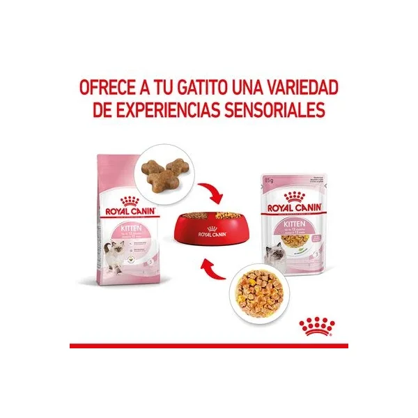 Selecciona tu Royal Canin Kitten Instinctive En Gelatina favorito hoy y ahorra un 20% al instante en le Valencia España!