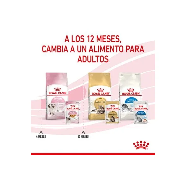 Selecciona tu Royal Canin Kitten Instinctive En Gelatina favorito hoy y ahorra un 20% al instante en le Valencia España!