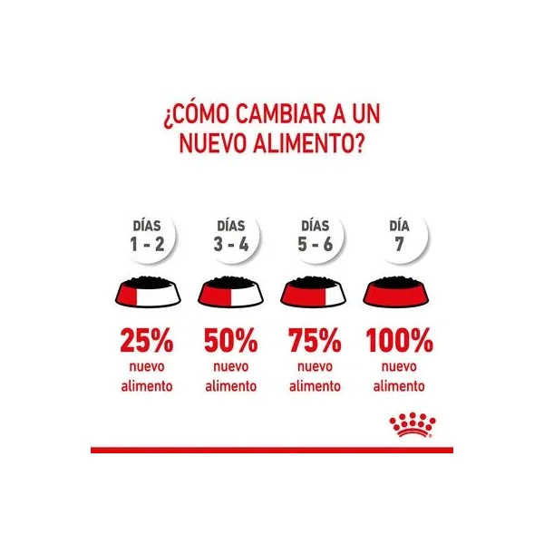 Selecciona tu Royal Canin Kitten Instinctive En Gelatina favorito hoy y ahorra un 20% al instante en le Valencia España!