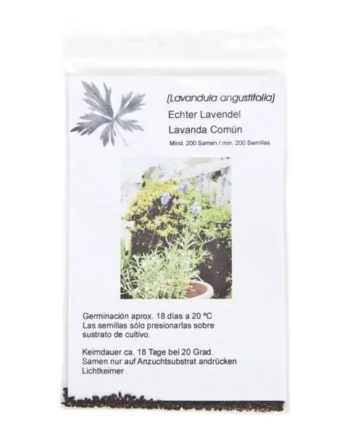 Semillas de Lavanda