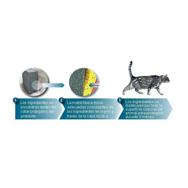 SERESTO gatos Collar Antiparasitario