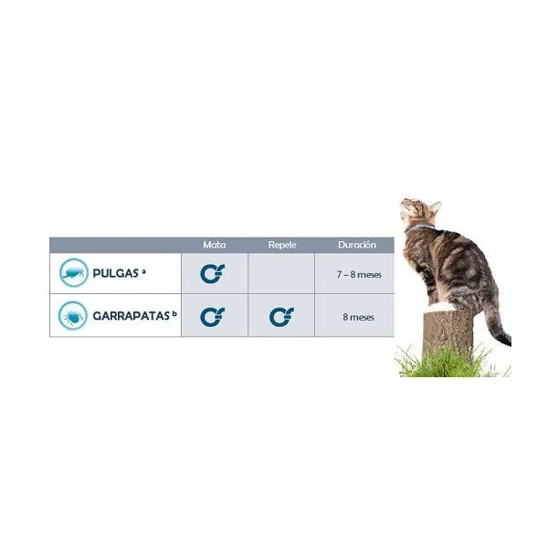 SERESTO gatos Collar Antiparasitario