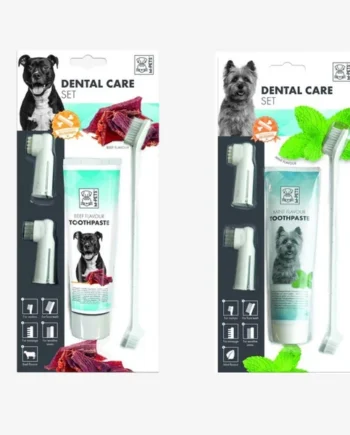 Set dental: Cepillos de dientes + pasta