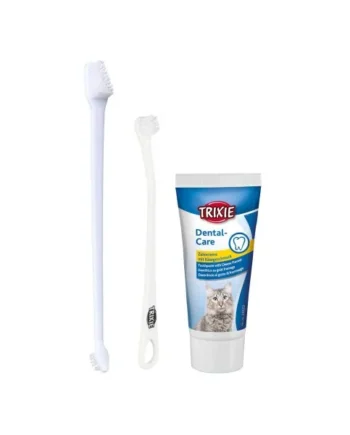 Set Higiene Dental