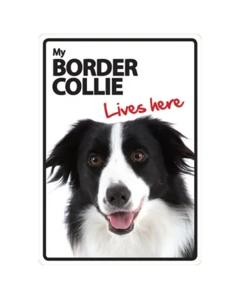 Señal A5 'Border Collie - Lives Here'