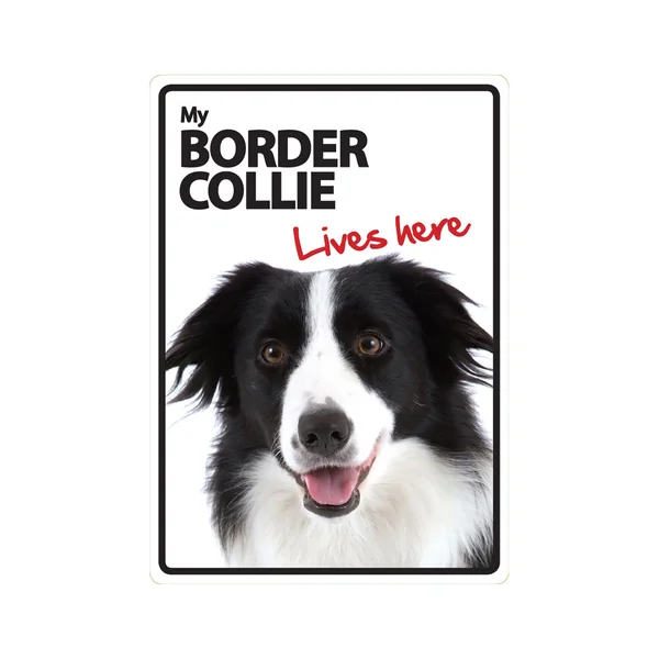 Señal A5 'Border Collie - Lives Here'
