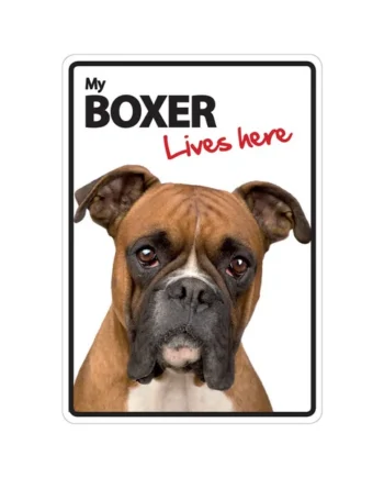 Señal A5 'Boxer - Lives Here'