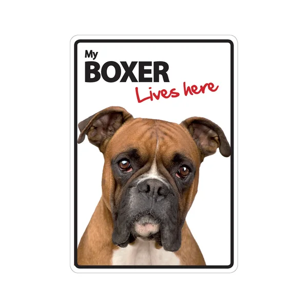 Señal A5 'Boxer - Lives Here'