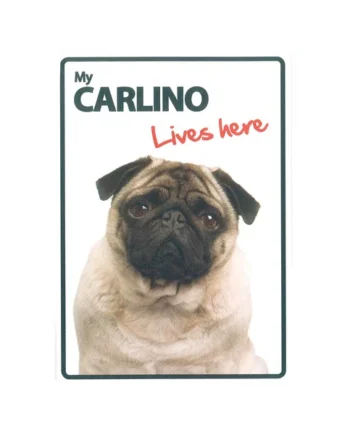Señal A5 'Carlino - Lives Here'
