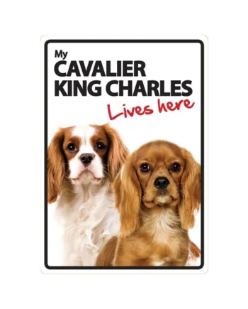 Señal A5 'Cavalier King Charles - Lives Here'