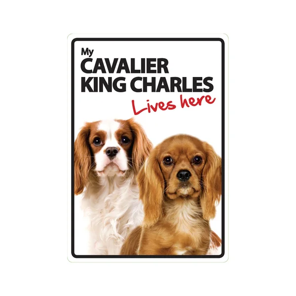 Señal A5 'Cavalier King Charles - Lives Here'