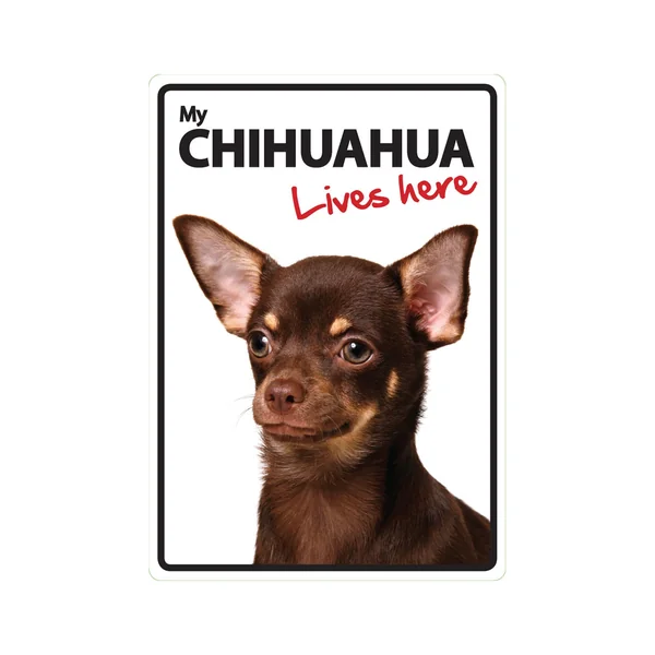Señal A5 'Chihuahua - Lives Here'