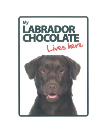 Señal A5 'Labrador Chocolate - Lives Here'