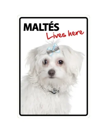 Señal A5 'Maltés - Lives Here'