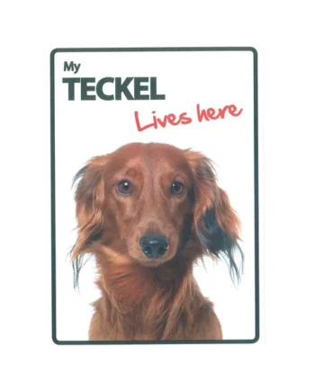 Señal A5 'Teckel - Lives Here'