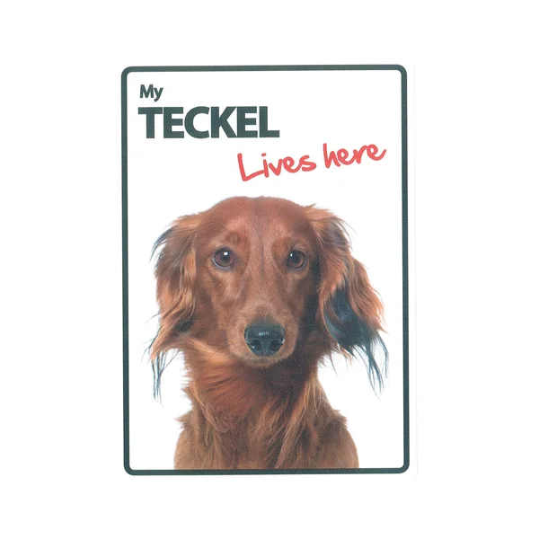 Señal A5 'Teckel - Lives Here'