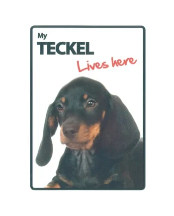 Señal A5 'Teckel - Lives Here'