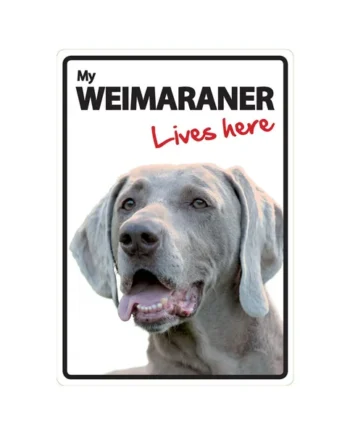 Señal A5 'Weimaraner - Lives Here'