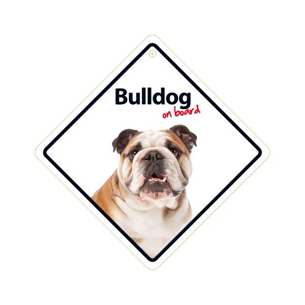 Señal con Ventosa 'Bulldog on Board'