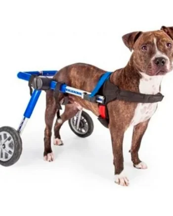 Silla de Ruedas de Perros Adaptables | Auxiliar y Apoyo Total