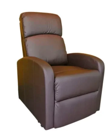 Sillón Elevador Confort con Control de Mando | Dos Colores