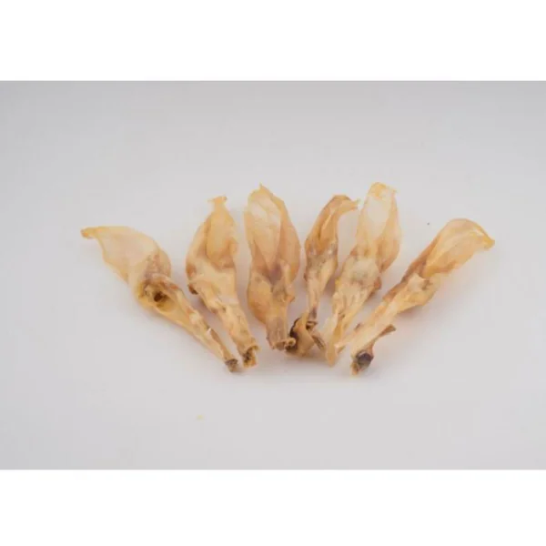 Snack natural de Oreja de Conejo