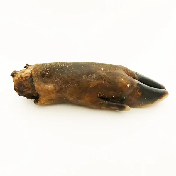 Snack natural de pata de Jabalí