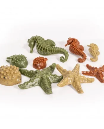Snacks dentales animales marinos
