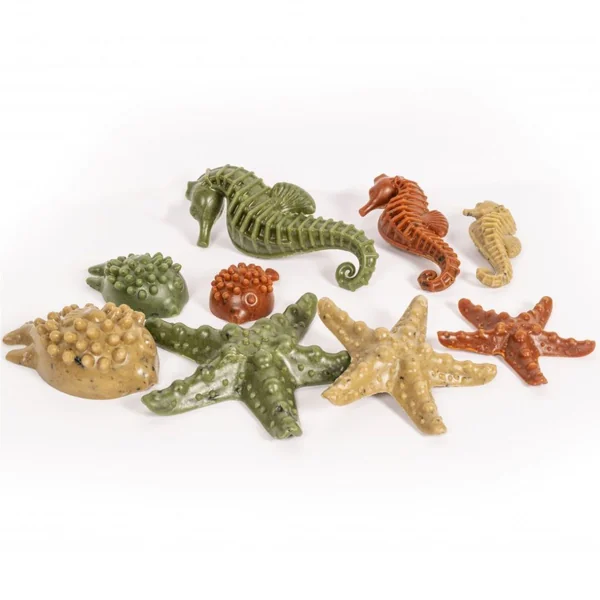 Snacks dentales animales marinos