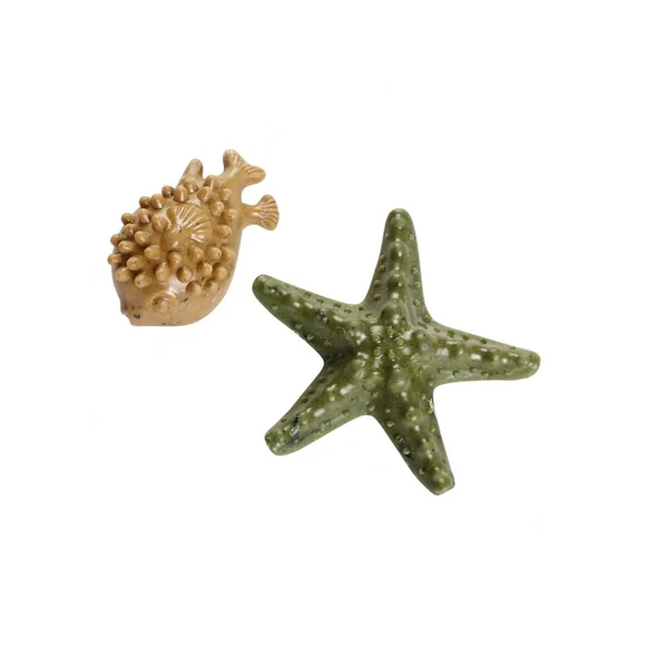 Snacks dentales animales marinos