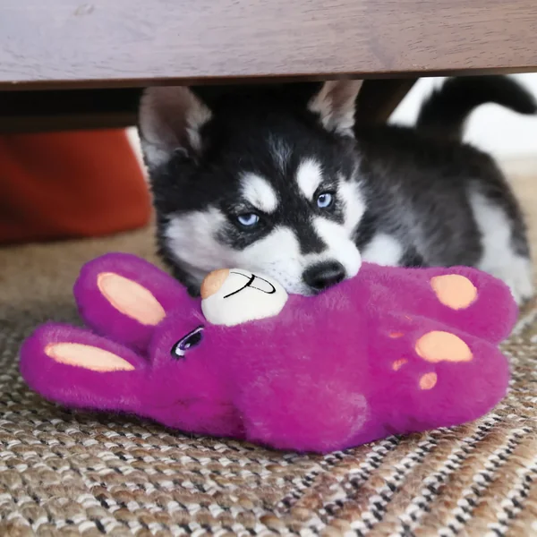 Snuzzles Bunny