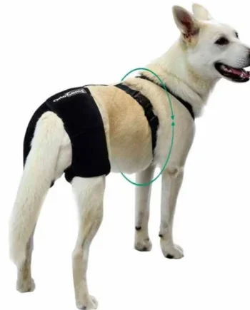 Soporte de Cadera para Perros | Por Tallas