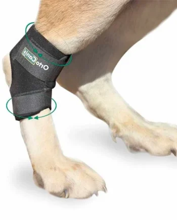 Soporte de Tarso para Perros Adaptable | Por Tallas