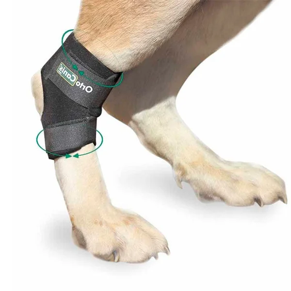 Soporte de Tarso para Perros Adaptable | Por Tallas