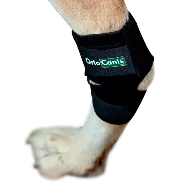 Soporte de Tarso para Perros Adaptable | Por Tallas