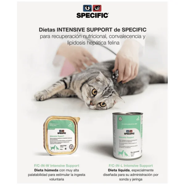 Specific Intensive Support Convalescencia perros gatos