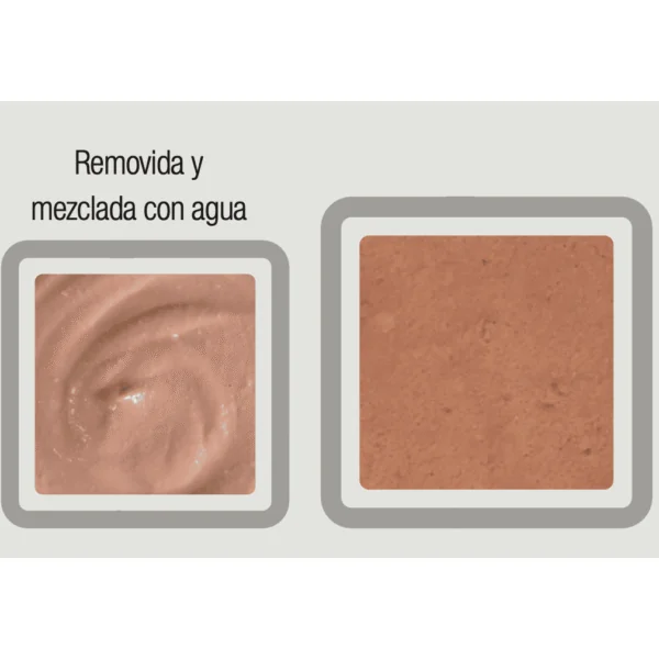 Specific Intensive Support Convalescencia perros gatos