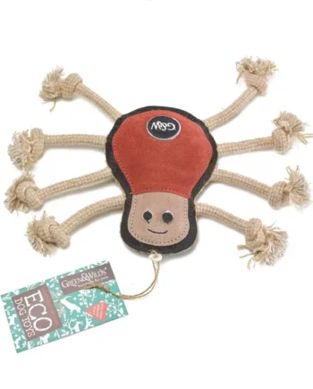 Spike the Spider