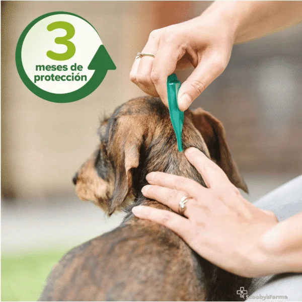 Spot On pipetas repelentes perros Beaphar 3 pipetas