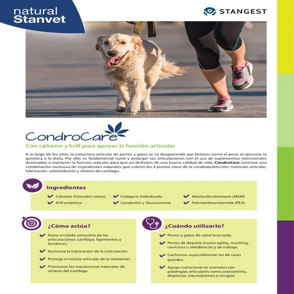 Stanvet Condrocare Condroprotector para perros y gatos en comprimidos